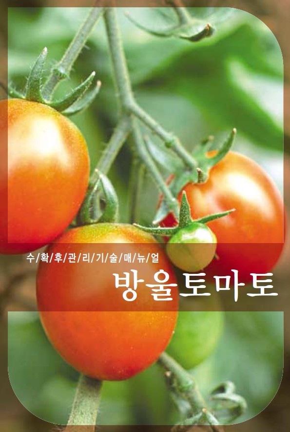 2005_방울토마토